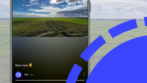 Signal is working on an archive feature for Stories - AboutSignal.com